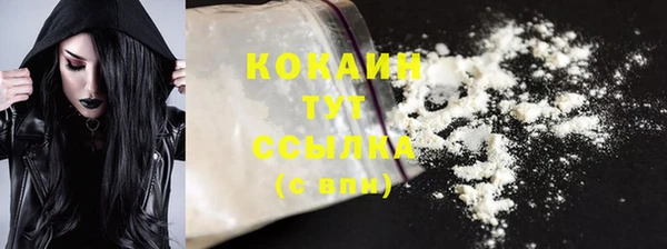 крисы Богородицк
