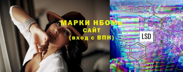 крисы Богородицк