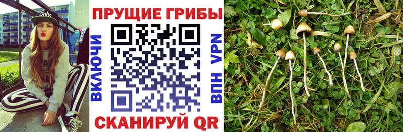 Псилоцибиновые грибы MAGIC MUSHROOMS  Верхняя Салда 